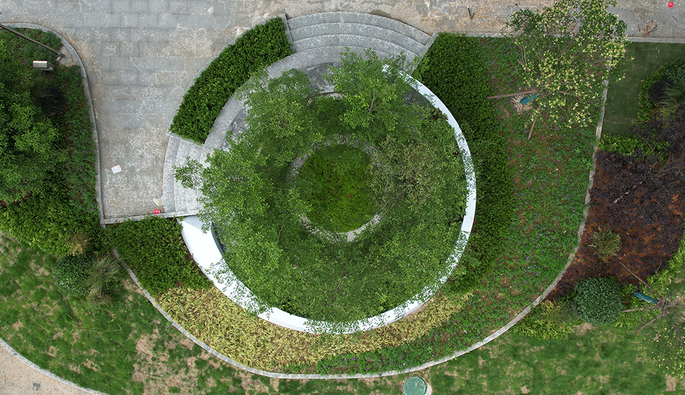 玻璃钢树池格栅 钢树池格栅：绿环玻璃钢在城市绿化中的作用与优势 第2张