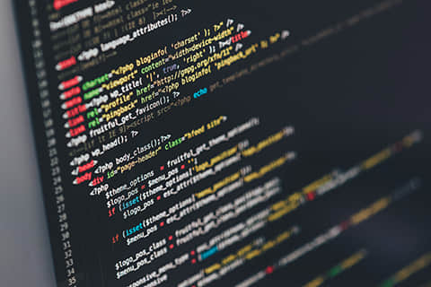 龙港seo 龙港seo：盛世传媒助力企业网络营销新纪元 第2张